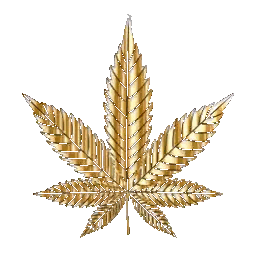 Gold Marijuana Leaf