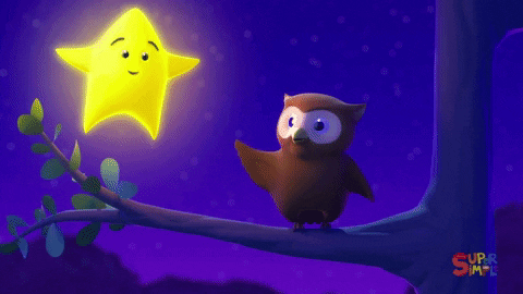 Gold Star Twinkle Owl Cartoon GIF