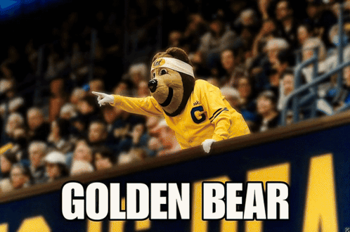 Golden Bear Mascot Pointing Over Fence