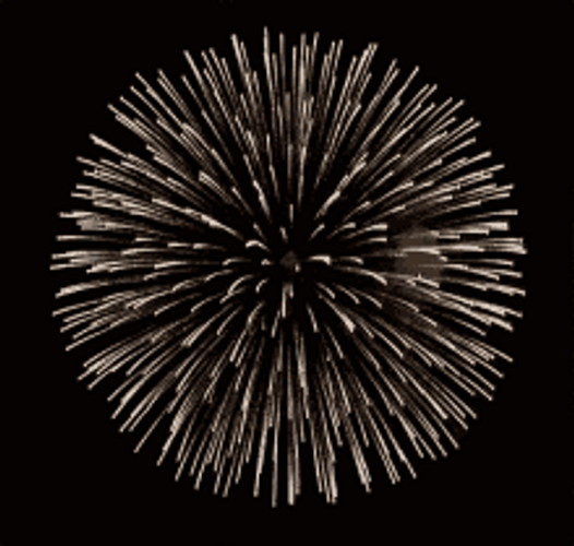 Golden Pistil Fireworks GIF