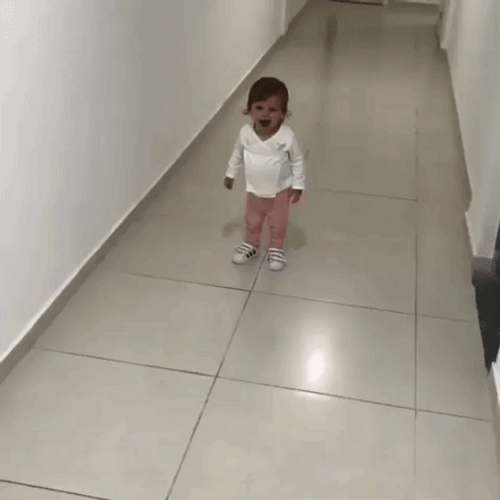 Golden Retriever Plays With Child GIF