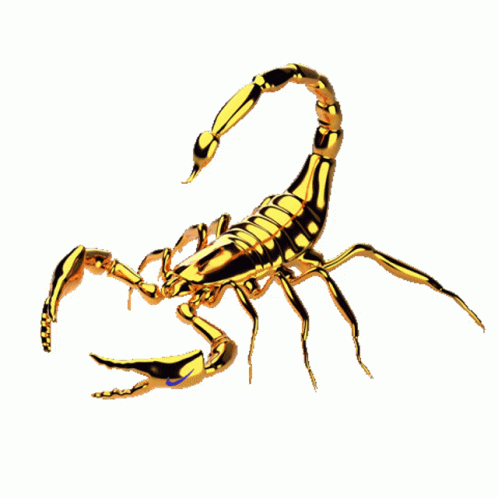 Golden Scorpion Get Over Here GIF
