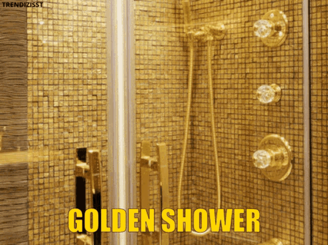 Golden Shower Raining Coins Bathroom Meme GIF