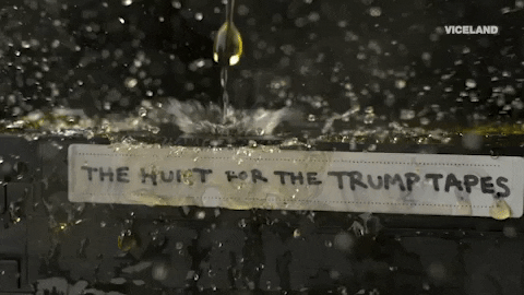 Golden Shower The Hunt For The Trump Tapes GIF