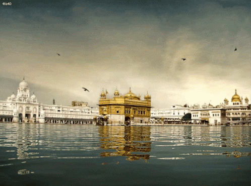Golden Temple with 40x40
