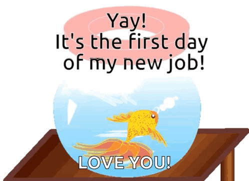 Goldfish in Bowl Saying Yay First Day New Job