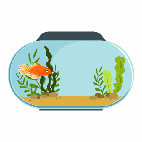 Goldfish Moving Around Plants In Its Bowl GIF