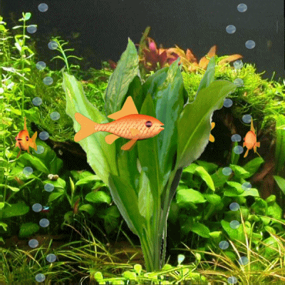 Goldfish Swimming Around A Plant GIF