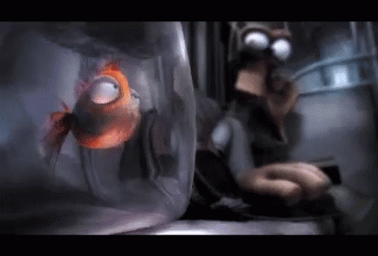 Goldfish GIF