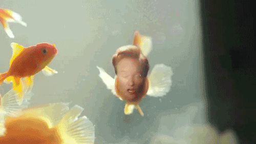 Goldfish With Face Of Conan O Brien GIF