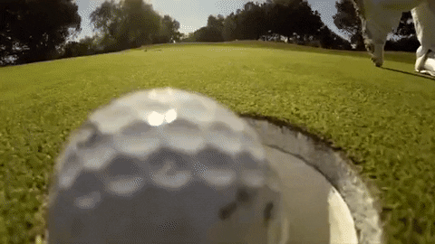 Golf Ball In The Hole GIF