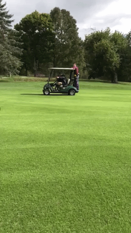 Golf Cart Moves With Man Hanging On GIF