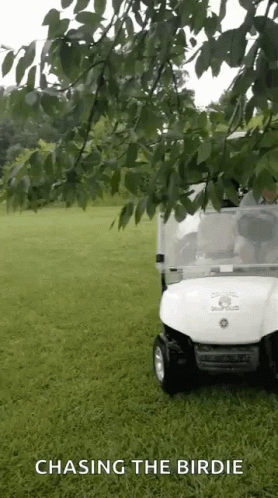Golf Cart Saying Chasing The Birdie GIF