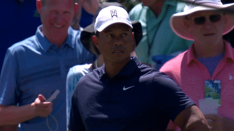 Golf Player Rory Mcilroy GIF