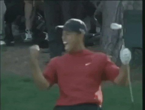 Golf Players High Five GIF