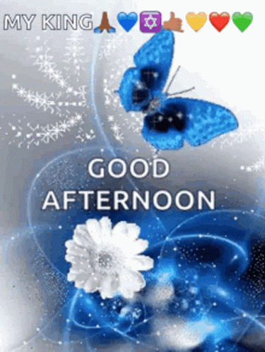 Good Afternoon Butterfly and Flowers