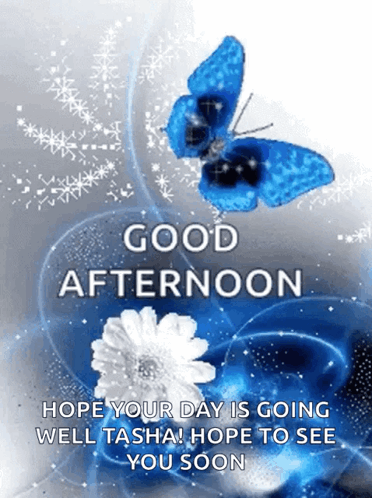 Good Afternoon Butterfly And Flowers GIF