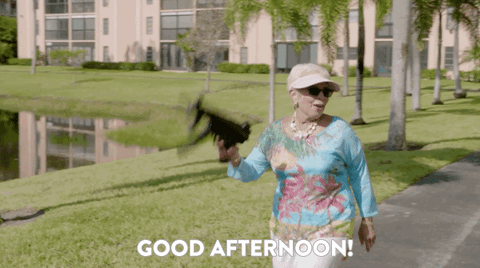 Good Afternoon Cool Lola GIF