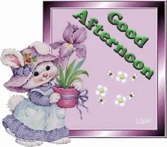 Good Afternoon Eastern Bunny GIF