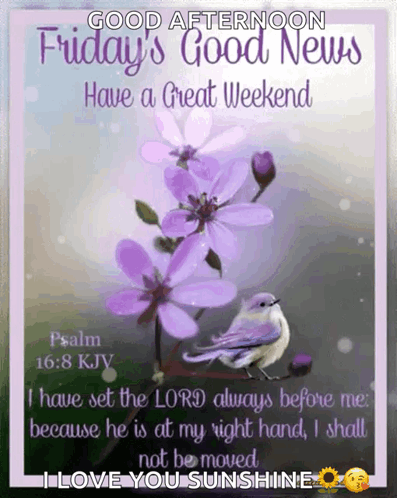 Good Afternoon Friday With Purple Flowers And Bird GIF