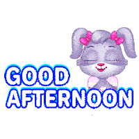 Good Afternoon Good Afternoon Love Sticker GIF