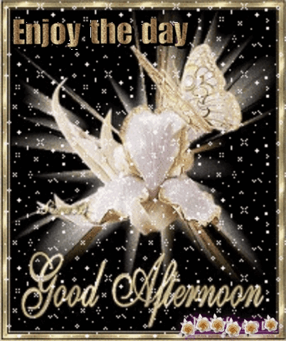 Good Afternoon Greeting Card Butterfly and Flower