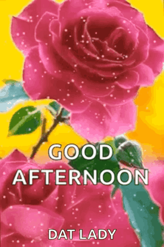 Good Afternoon Greeting Card With Pink Roses GIF