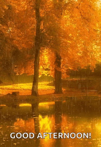 Good Afternoon Happy Fall Sunday GIF
