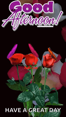 Good Afternoon Happy Monday Falling Petals GIF