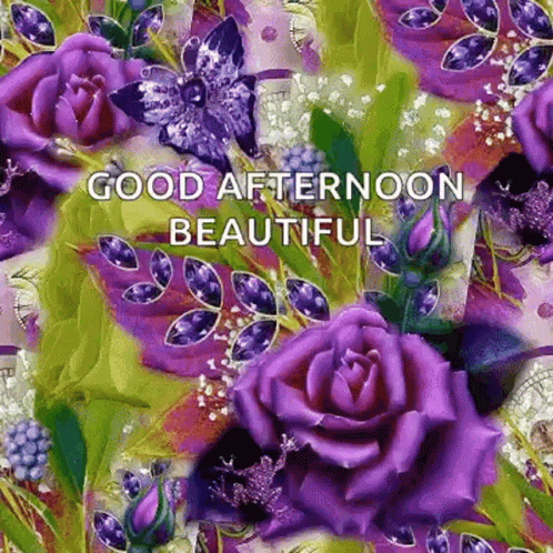 Good Afternoon Happy Monday Lilac Butterfly GIF