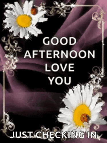 Good Afternoon Happy Monday Shimmering Graphics Design GIF