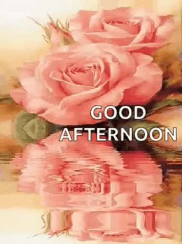 Good Afternoon Happy Monday Water Reflection GIF