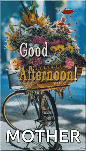 Good Afternoon Happy Tuesday Basket Of Flowers GIF