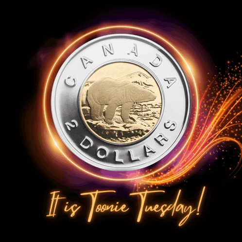 Good Afternoon Happy Tuesday Canada Dollars GIF