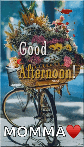 Good Afternoon Happy Tuesday Flower Bouquet GIF
