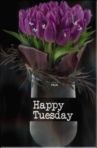 Good Afternoon Happy Tuesday Purple Flowers GIF