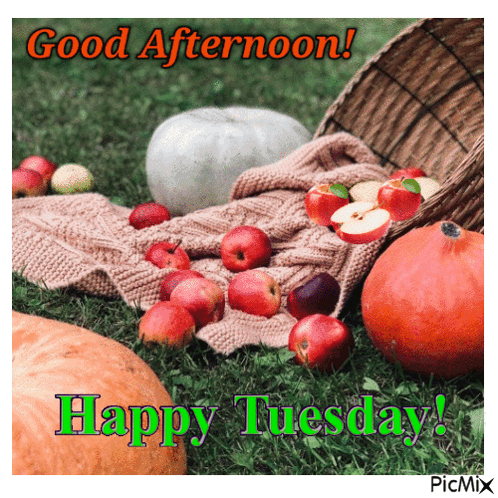 Good Afternoon Happy Tuesday Red Fruits GIF