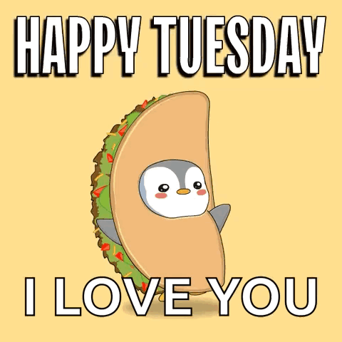 Good Afternoon Happy Tuesday Taco Penguin GIF