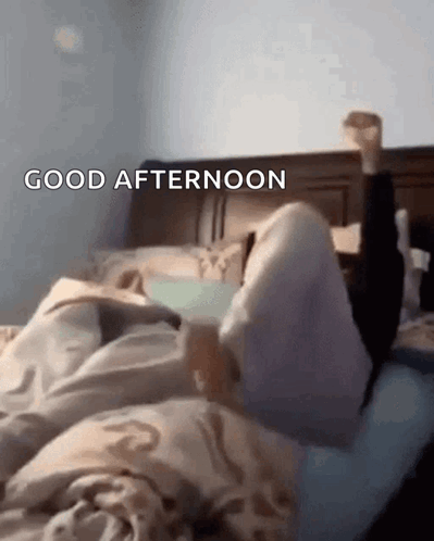 Good Afternoon Just Waking Up GIF