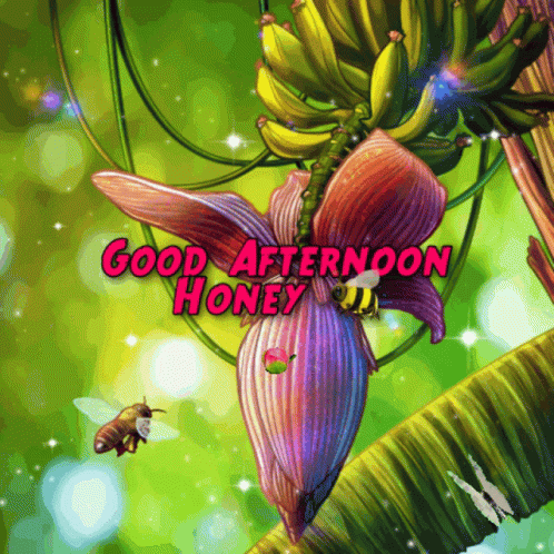 Good Afternoon My Love Banana Blossom With Insects GIF
