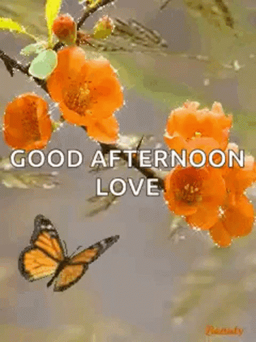 Good Afternoon My Love Orange Shining Flowers GIF