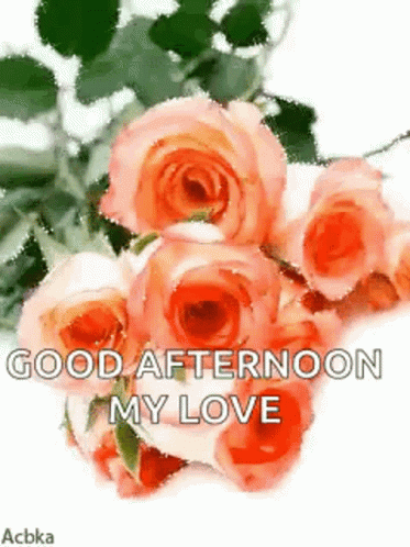 Good Afternoon My Love Shimmering Peach Flowers GIF