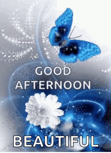 Good Afternoon Nature Meme GIF