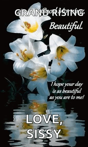 Good Afternoon Niece Monday Blessings Flowers Watering Can GIF