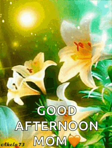 Good Afternoon Son Thursday Manna From Heaven Card