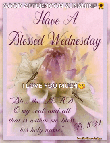 Good Afternoon Sunshine Blessed Wednesday Greeting Card