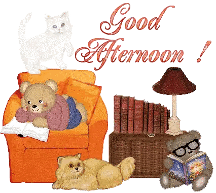 Good Afternoon Teddy Bear and Cats