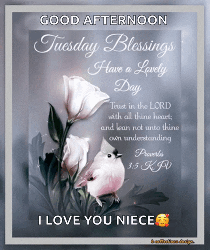 Good Afternoon Tuesday Blessings Have a Lovely Day Poster