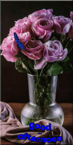 Good Afternoon Wednesday Blue Butterfly GIF