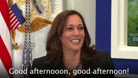 Good Afternoon Wednesday Kamala Harris GIF